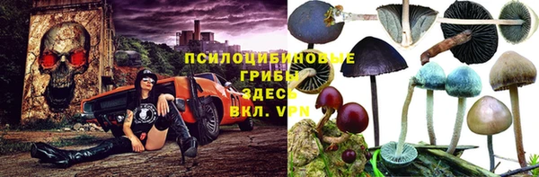 прущая мука Богородск