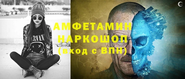 индика Балабаново