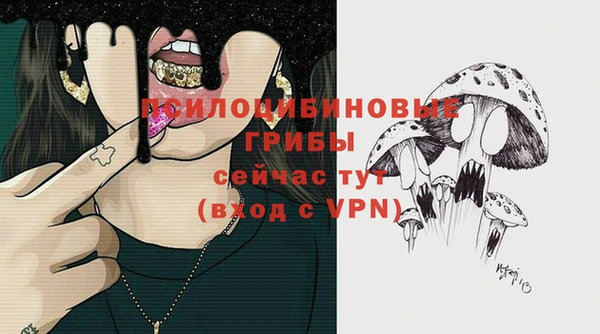 кокаин премиум Богданович